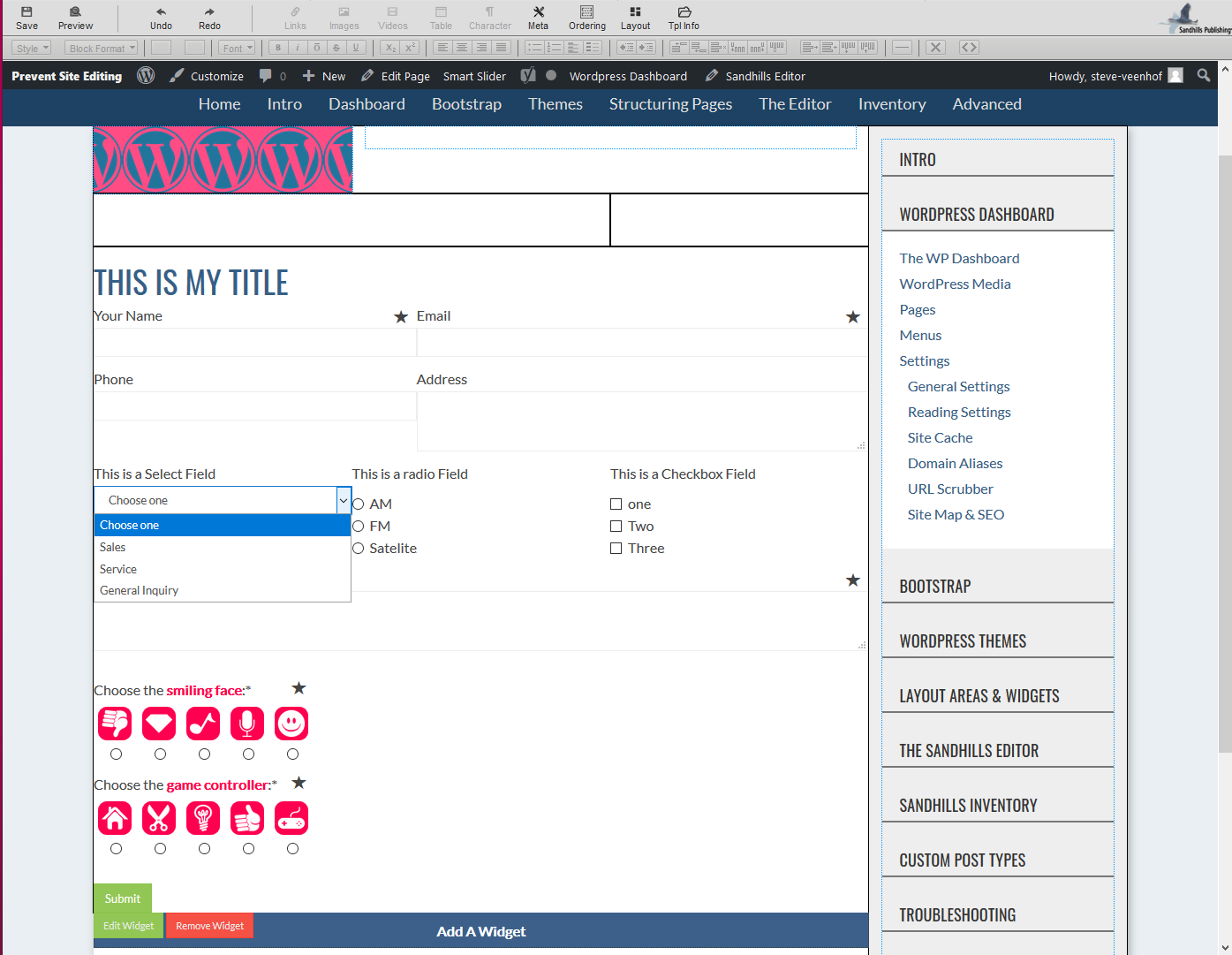 The form on the site. 