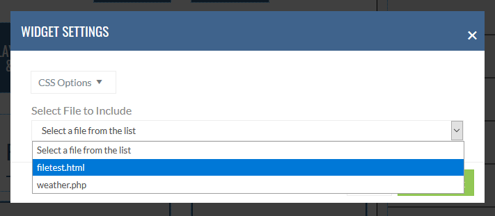 Add file widget to page