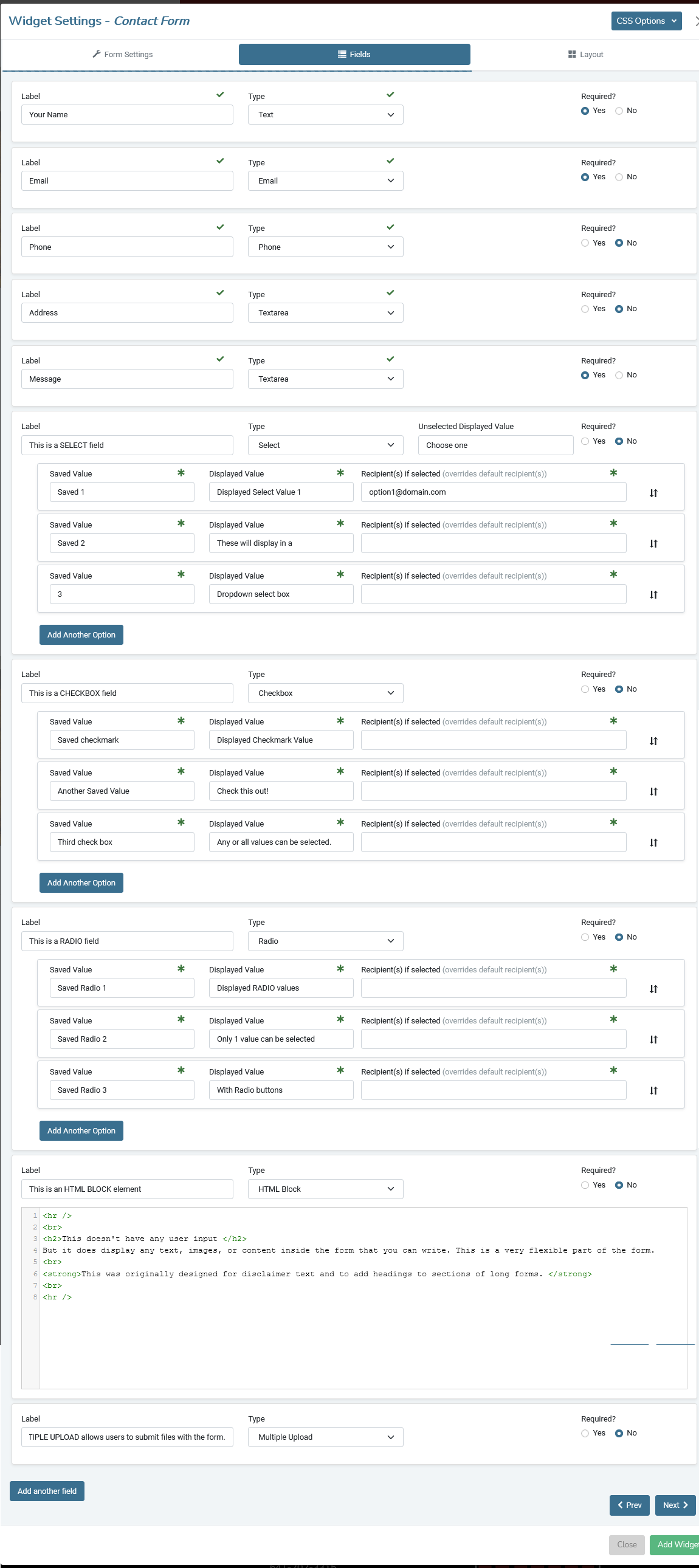 Fields Tab of the Sandhills Form Widget