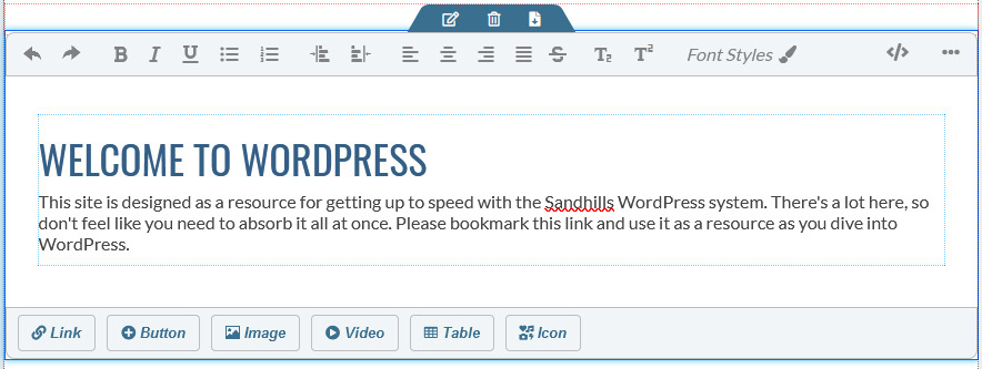 Dynamic Page Editing Controls